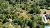 2600 Lora Lane - Photo 5