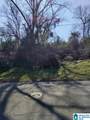 0 Dr L.C. Mcmillian Avenue - Photo 1