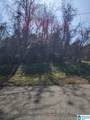 0 Dr L.C. Mcmillian Avenue - Photo 2