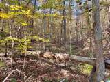 00000 North River Circle - Photo 4