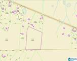 10533 Us Highway 278 - Photo 5