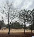 9040 Marsh Mountain Road - Photo 3
