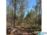  Us Hwy 231 - Photo 25
