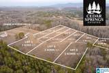 Lot 6 Cedar Springs Drive - Photo 1