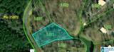 Lot 40 Sipsey Pines Road - Photo 3