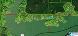 Lots 74, 75 Sipsey Pines Road - Photo 4