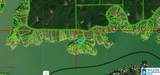 Lot 73 Sipsey Pines Road - Photo 4