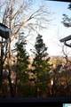 1312 Morning Sun Circle - Photo 28