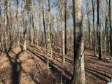 24+/- Acres County Road 71 - Photo 2