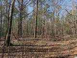 24+/- Acres County Road 71 - Photo 3