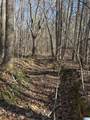 24+/- Acres County Road 71 - Photo 4