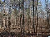 24+/- Acres County Road 71 - Photo 5