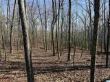 24+/- Acres County Road 71 - Photo 6