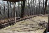 1200 Pine Ridge Circle - Photo 51