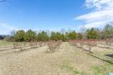 8686 Eastaboga Road - Photo 50