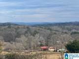 3953 Logan Martin Dam Road - Photo 75