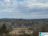 3953 Logan Martin Dam Road - Photo 76