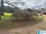 3953 Logan Martin Dam Road - Photo 79