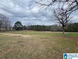 3953 Logan Martin Dam Road - Photo 80