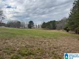 3953 Logan Martin Dam Road - Photo 81