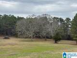3953 Logan Martin Dam Road - Photo 82
