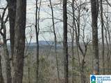 3953 Logan Martin Dam Road - Photo 85