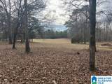 3953 Logan Martin Dam Road - Photo 87