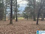 3953 Logan Martin Dam Road - Photo 89