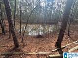 3953 Logan Martin Dam Road - Photo 90