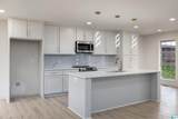 704 Cedar Cone Circle - Photo 16