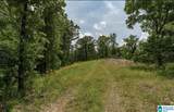 3717 Springstone Trail - Photo 8