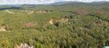 3.69 Acres Forest Edge Lane - Photo 7