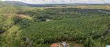 3 Acres Forest Edge Lane - Photo 11