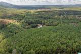 3 Acres Forest Edge Lane - Photo 12