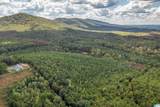 3 Acres Forest Edge Lane - Photo 2