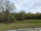0 (4 acres) Highway 21 - Photo 4