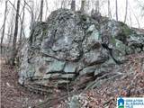 5620 Shades Crest Road - Photo 4