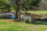 516 Meadow Lake Farms - Photo 84
