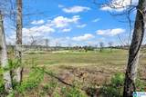 235 White Oak Loop - Photo 40