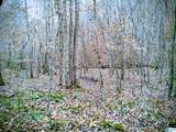 Lot 17 Mandy Drive - Photo 4