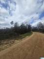 0 County Road 351 - Photo 3