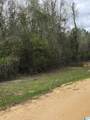 0 County Road 495 - Photo 4
