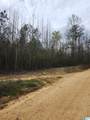 0 County Road 495 - Photo 5