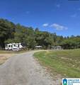342 Bluegrass Lane - Photo 19