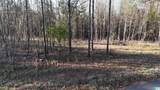 620 Horseshoe Trail - Photo 13