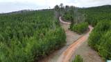 o Bluebird Lane - Photo 13