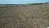 o Bluebird Lane - Photo 17