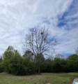 5640 Azz Higgins Drive - Photo 59