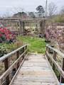 229 Graham Road - Photo 6