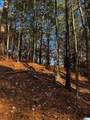 3724 Chestnut Ridge Lane - Photo 1